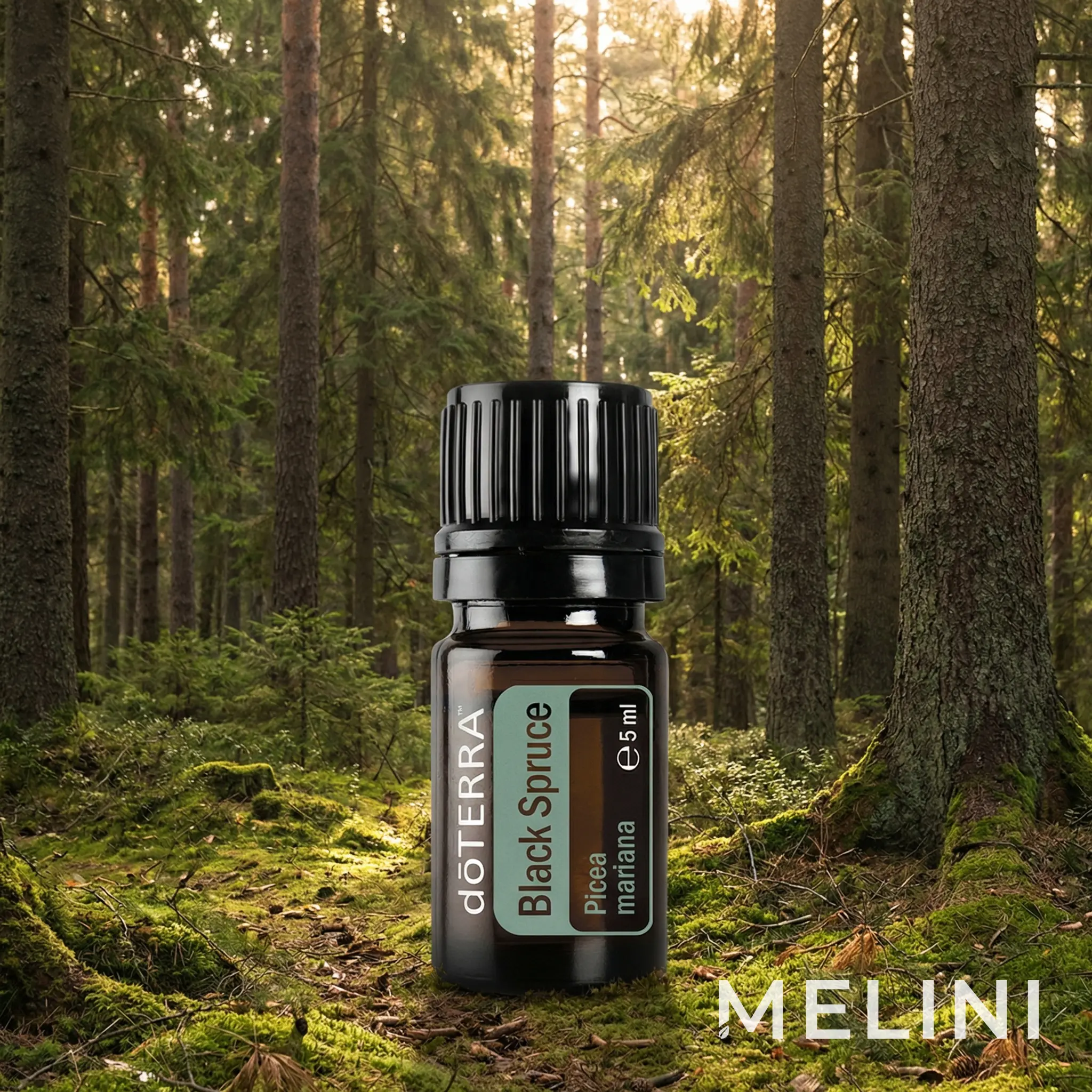 doTERRA Kanadai fekete luc illóolaj