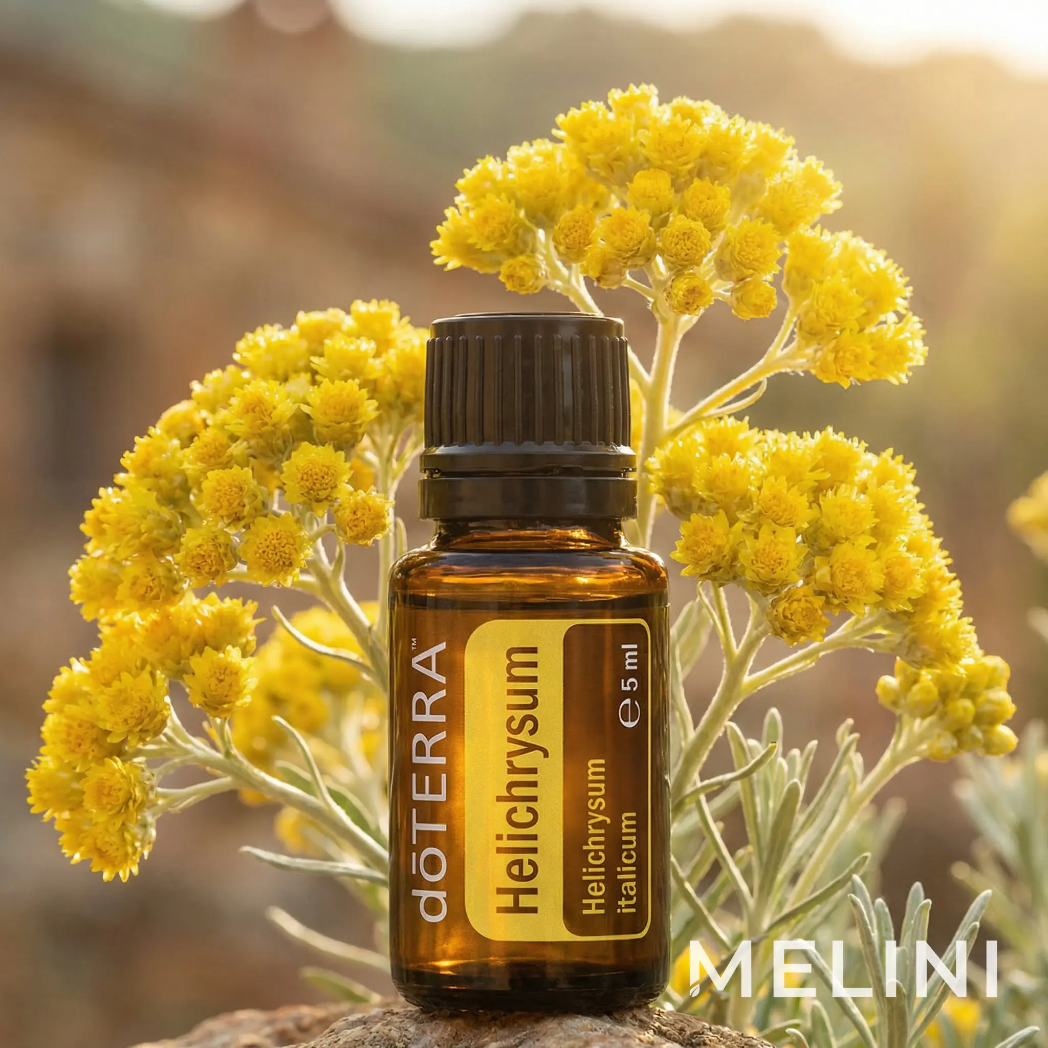 doTERRA Olasz szalmagyopár