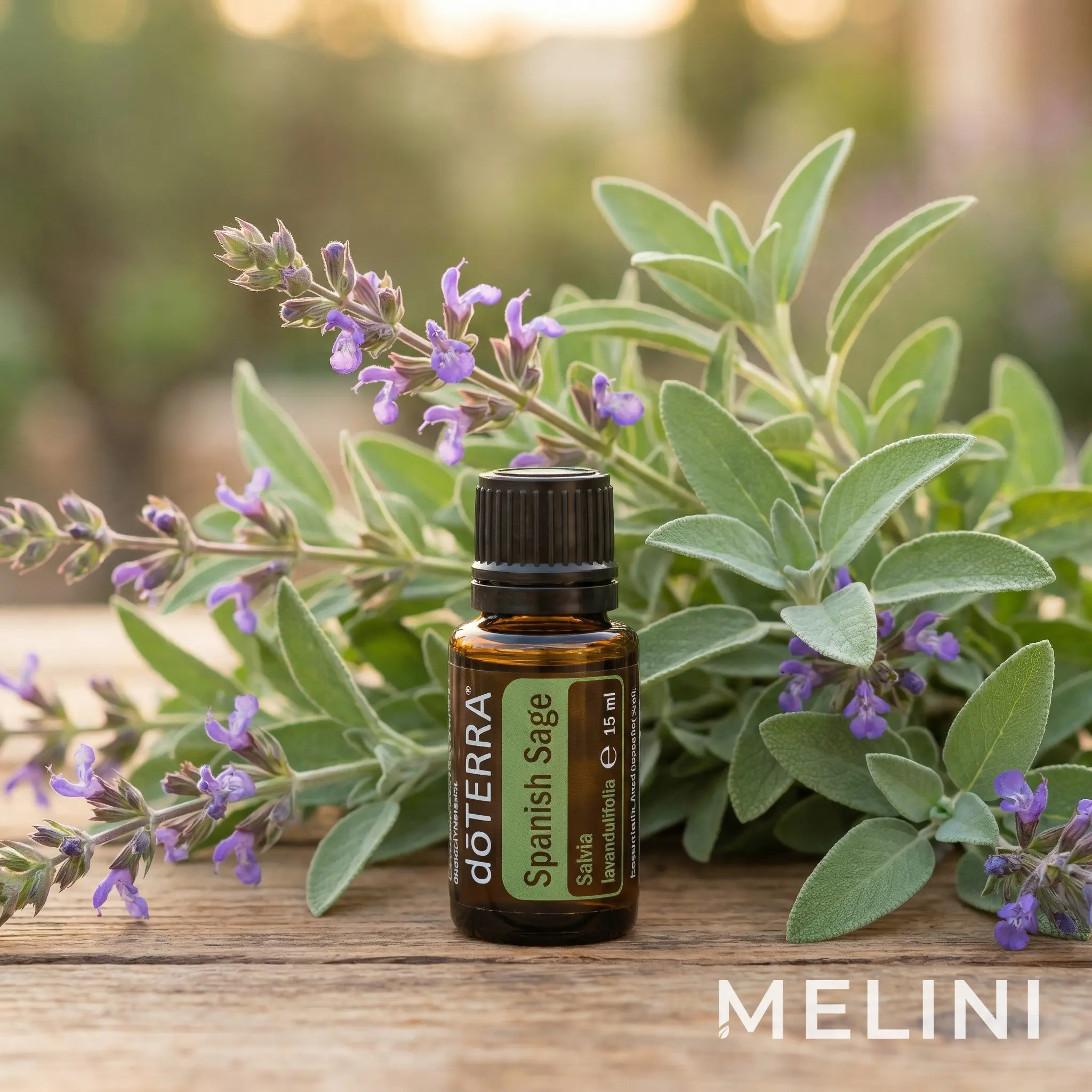 doTERRA Spanyol zsálya illóolaj