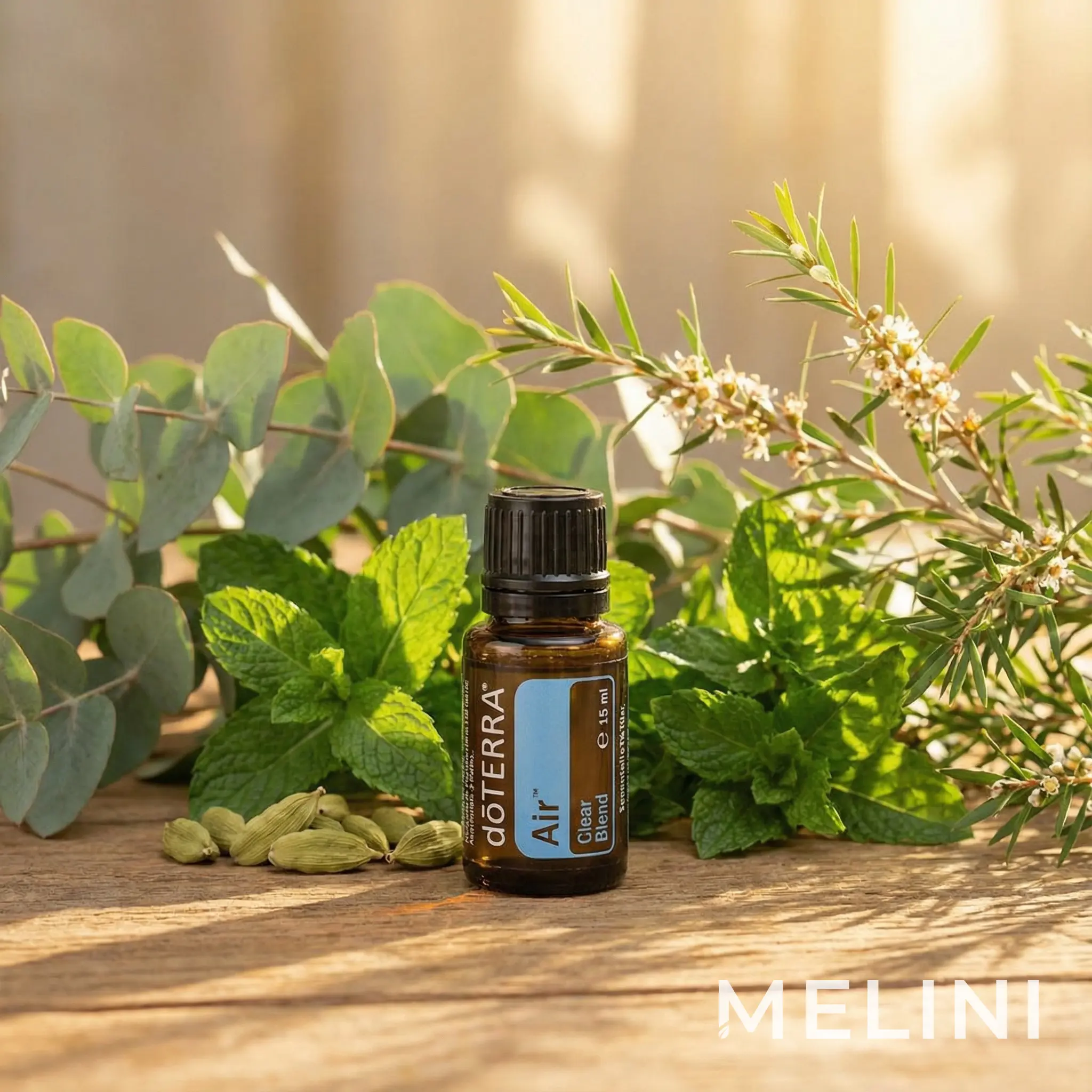 doTERRA Air