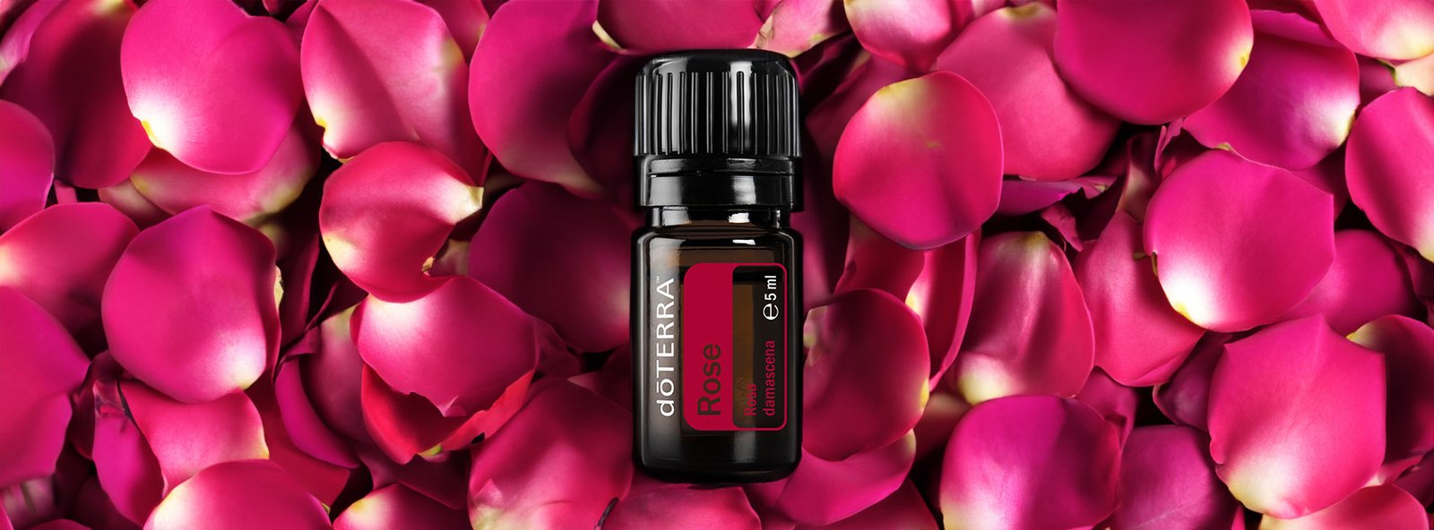 doterra rózsa