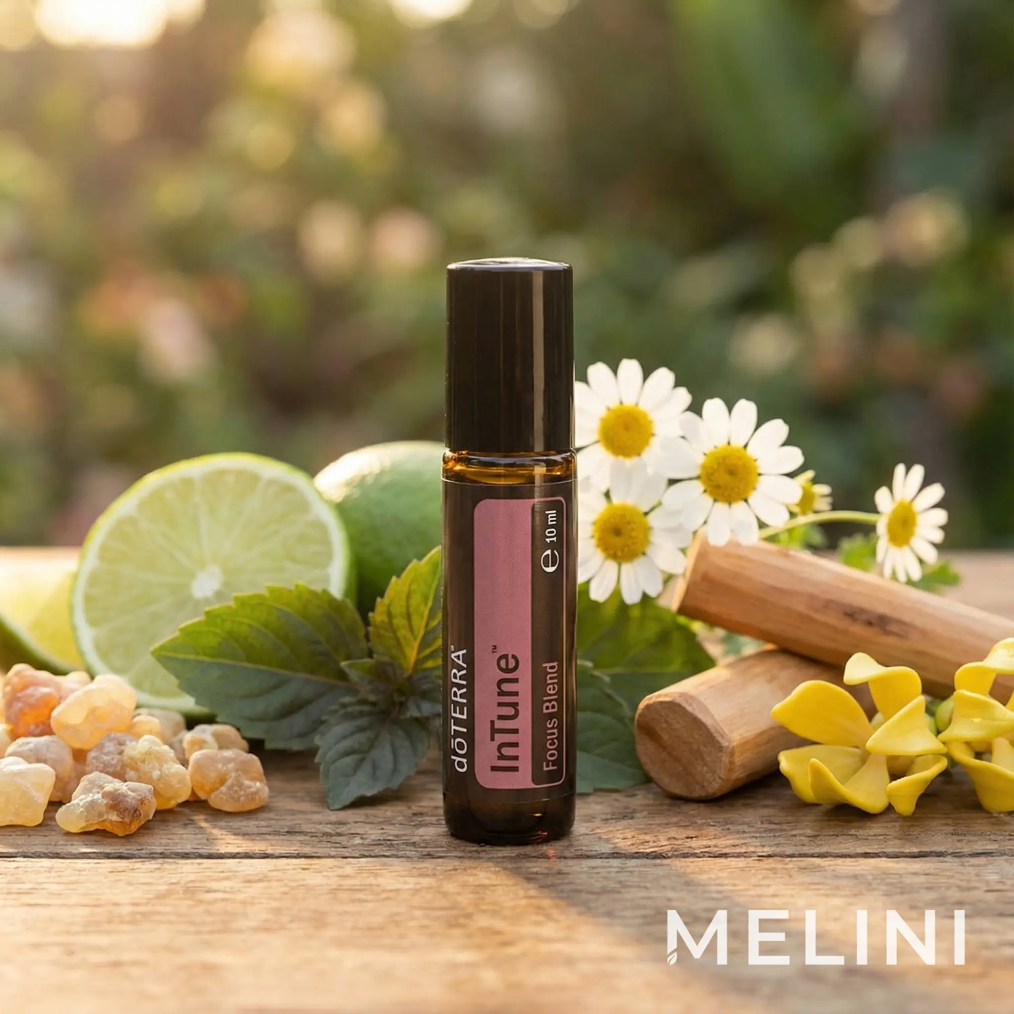 doTERRA InTune