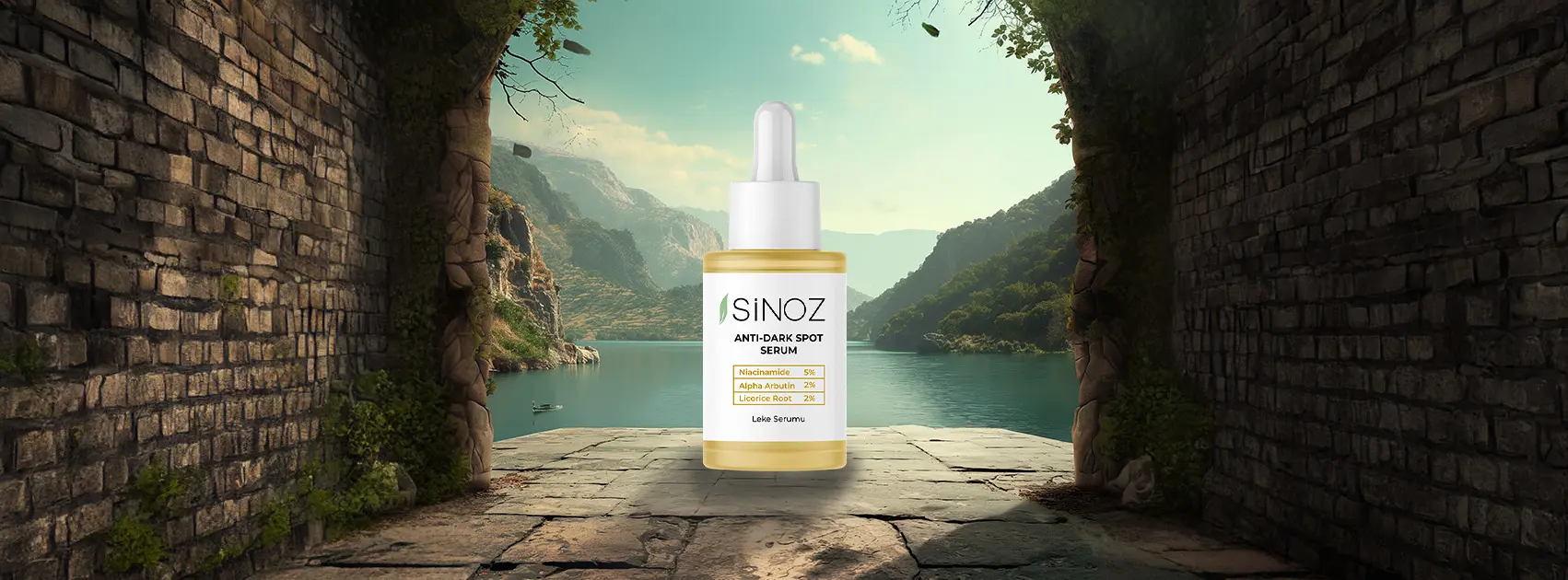 SiNOZ banner